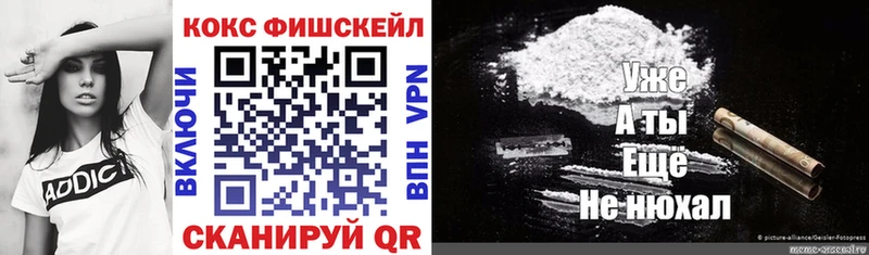 Cocaine FishScale  купить   Сердобск 