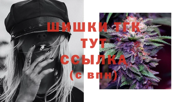 гидропоника Белокуриха