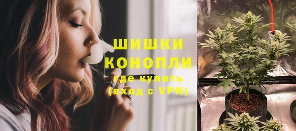 гидропоника Белокуриха