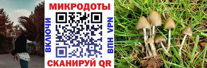 Псилоцибиновые грибы ЛСД Сердобск
